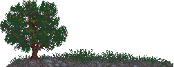 Composited scene: INTRO.L32 #8016