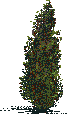 Rendered art asset: Cypress