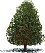 Rendered art asset: Round fruit/berry tree