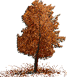 Rendered art asset: Autumn tree (orange foliage)