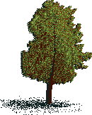 Rendered art asset: Round leafy fruit tree