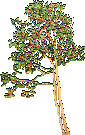 Rendered art asset: Bare/blossom tree